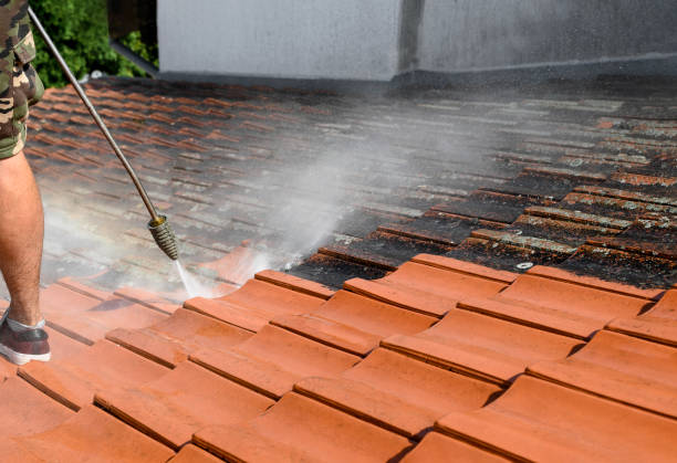 Best Best Pressure Washing Companies  in Brentwood, NY